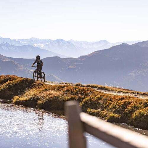 Ein Biker auf einem Trail neben einem Speichersee in der Sonne