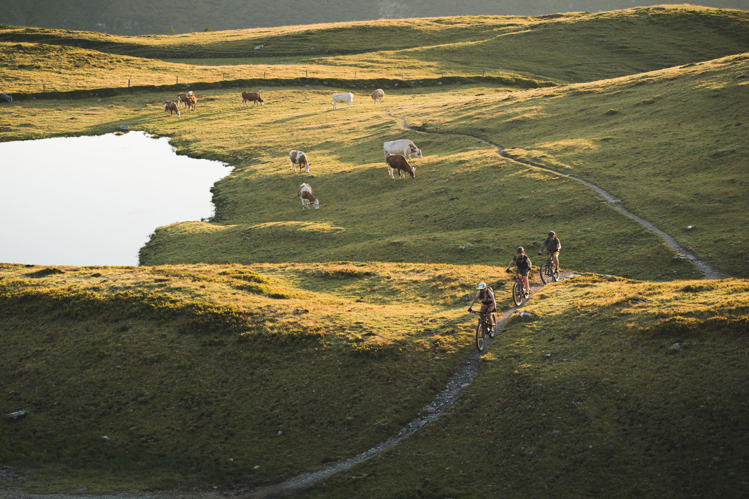 Drei Fahrradfahrer auf einem Weg neben einem Bergsee
