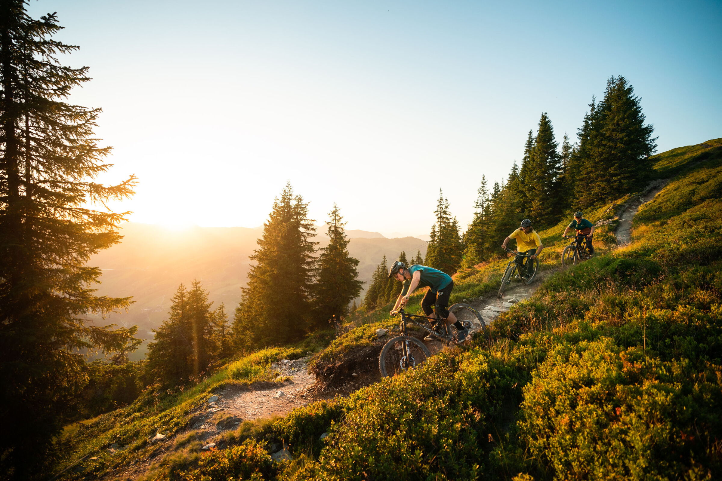 Drei Mountainbiker bei Sonnenuntergangsstimmung auf einem Trail