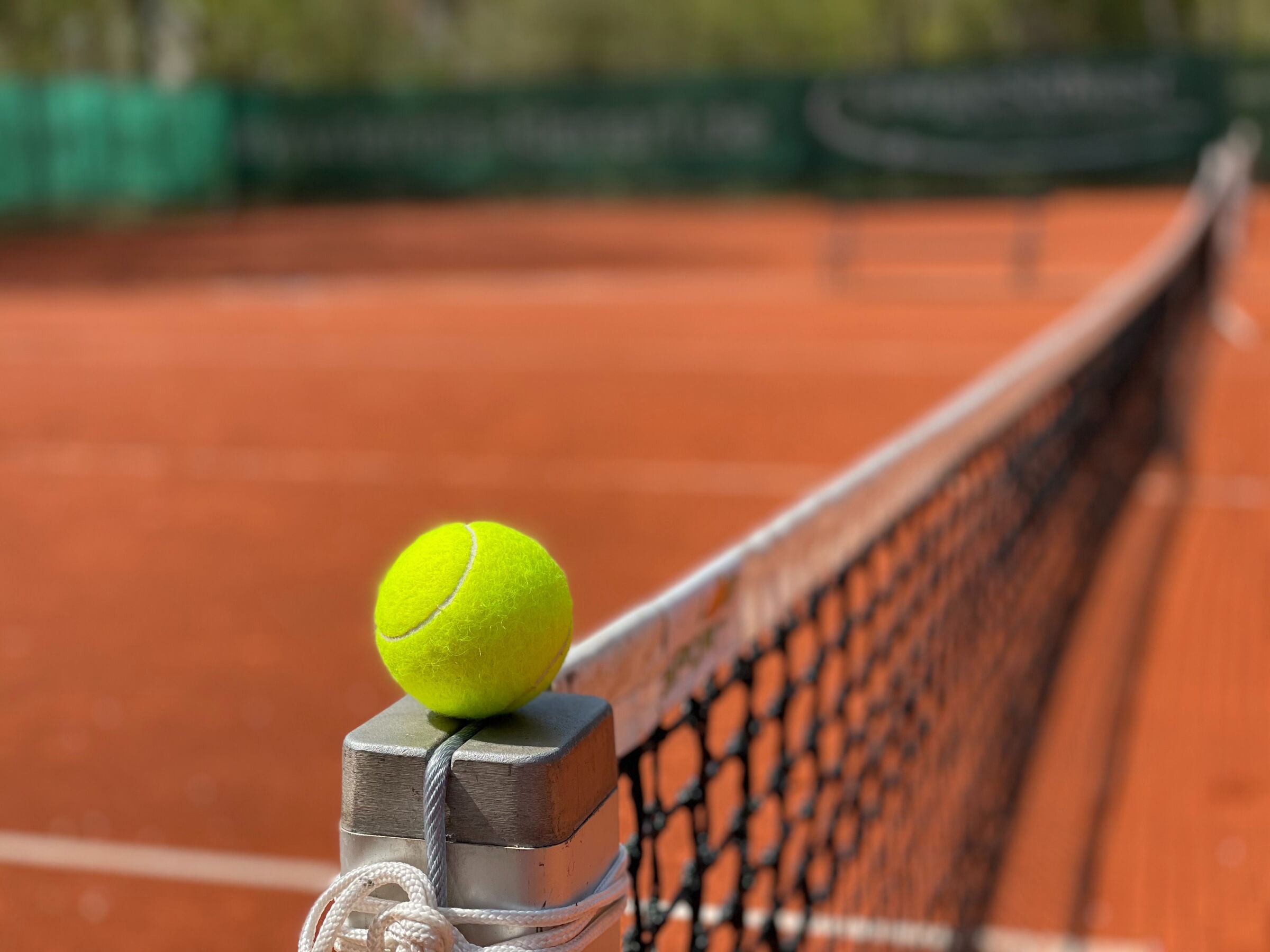Tennisball auf einem Tennisnetz