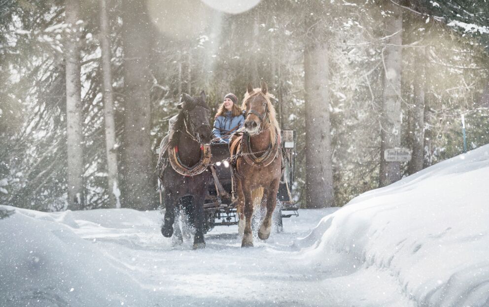 Eine Frau auf einem Pferdeschlitten mit zwei Pferden in verschneiter Winterlandschaft
