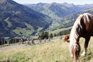 World Games of Mountainbiking im Bikecircus Saalbach Hinterglemm Die Pferde am Weg kümmert es wenig, ob die Biker sich quälen müssen oder nicht