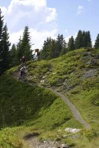 Der Trail zur Huberalm ist ein weiteres Sahnestück im Bikecircus Saalbach Hinterglemm und stellt eine super Verbindung von der Hackelbergalm nach Hinterglemm dar 