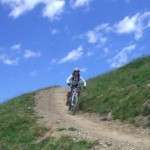 Der Buchegg Trail - eines der neuen Trail-Highlights im Bikecircus Saalbach Hinterglemm