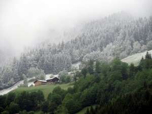 Neuschnee rund um Saalbach Hinterglemm