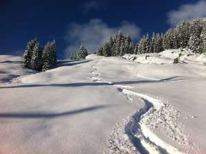 Neuschnee in Saalbach Hinterglemm