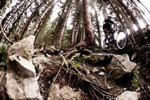 Flying Gangster im Bikepark Leogang
