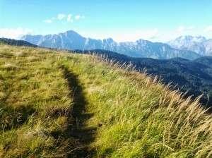 Trailrunning am Saalachtaler Höhenweg