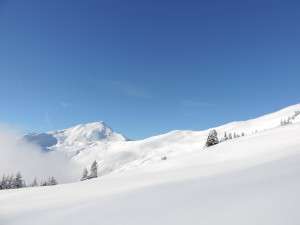 Skitouren in Saalbach Hinterglemm