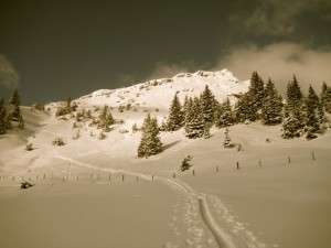 Skitour Staffkogel