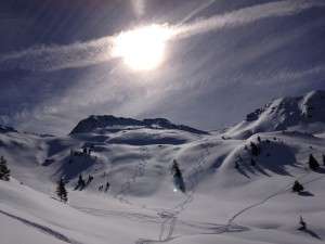 Powder pur in Saalbach Hinterglemm
