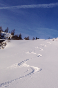 First Line in Saalbach Hinterglemm