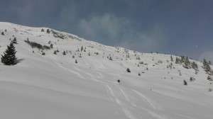 Best Powder in Saalbach Hinterglemm