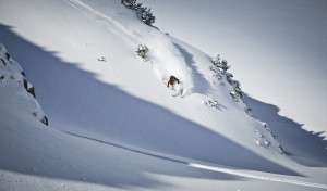 Endless Powder im Freeridepark Saalbach Hinterglemm © saalbach.com